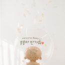 루나솔스튜디오