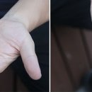 다비드건강식품