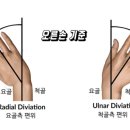 퍼스널 트레이닝 봉담 이미지