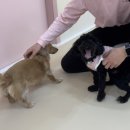 멍데이유치원