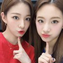 플로버