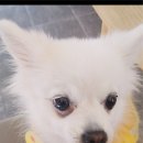 이끌컨설팅 이미지