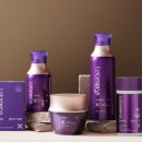 리버스 편의점 이미지