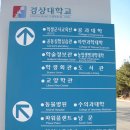 반석동물병원 이미지