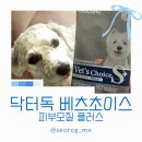 독플러스 | 강아지 눈물사료 바꾸고 달라진 점, 닥터독 베츠초이스 피부모질 플러스 후기