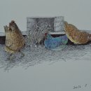 도토리농장 이미지