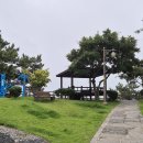 소남머리 이미지