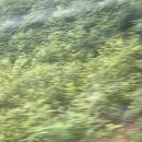 홍익프라자 이미지