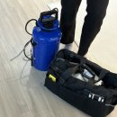 대구방역 | 대구 방역업체 쏘케어 후기