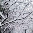 중앙공원 화장실 이미지