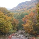 가을여행지추천-가을여행 갈만한 곳-한국관광 공사 추천 이미지