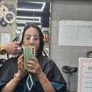 희스토리헤어 | ​[죽전 미용실] 머릿결 소생하는 곳⭐️'WEST 헤어그라슈'에서 조광민 원장님께 인생 머리 하고 왔어요...