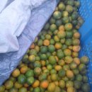 광업농장 이미지