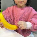 5살 아이랑 스타필드마켓 죽전점 챔피언 (내돈내산 인증)