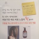 소프레사 이미지