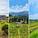 애기봉목장 이미지