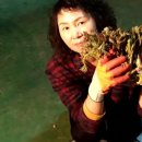 고건농장 이미지