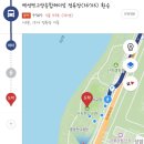 난지한강공원 2025 피크페스티벌 후기