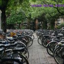 진양주유소 이미지