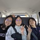 세교한국태권도장 이미지