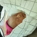 베이비맘마(익산점) | 채유니 생후30일 일기.(조은맘산후도우미 후기)