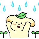 빛과나무 이미지