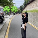 행복을 찾아 서울여행 ~ ☘️💗