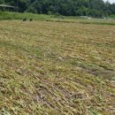 가음농장 이미지