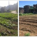 교동농장 이미지