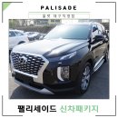 바니사 | 팰리세이드 신차패키지 레인보우 썬팅 시공