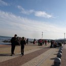 호포주유소 이미지