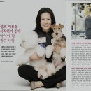 속초애견미용학원