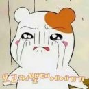 아이올라 이미지
