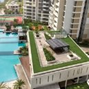 에스텔라 이미지