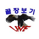 양산 유튜버들 신고 부탁드립니다🙏🙏🙏 이미지