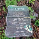 화원역_대구1호선_대합실 | 화원자연휴양림 #2 / 용문사 / 향택