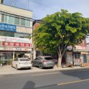 큰나무약국 이미지