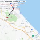 더 퍼피즈 블루 오션 쿡 이미지