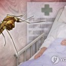 빨간집 - 하동군 악양서로 326 | 빨간집