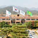 343 이미지