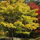 승철농장 이미지