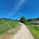거창 취우령(아홉산) 원점회귀 (260613) 이미지