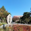 포항시 육아종합 지원센터 이미지