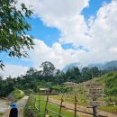 사파 타반 마을 뱀부트레킹 환상적인 Bamboo Trail