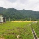 현북면사무소 이미지