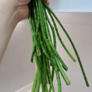 송은농장 이미지