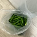 여울목 | 🏠 강원도 양양 펜션 추천 ! 법수치 계곡 앞 완벽했던 ‘여울목 펜션’ 숙박 찐 솔직 후기 !