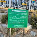 더얼티밋카페