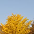 푸른초장 이미지