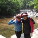 팔당수난구조대 이미지